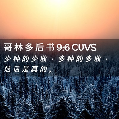 Picture 02 - 哥 林 多 后 书 9:6 CUVS - 少 种 的 少 收 ， 多 种 的 多 收 ， - Bible Verse Picture