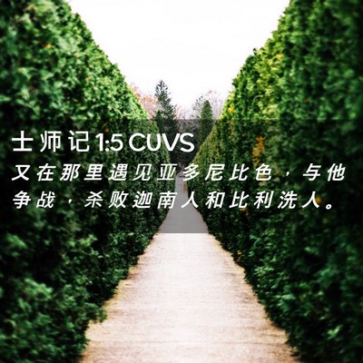 Picture 02 - 士 师 记 1:5 CUVS - 又 在 那 里 遇 见 亚 多 尼 比 色 ， - Bible Verse Picture