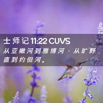 Picture 02 - 士 师 记 11:22 CUVS - 从 亚 嫩 河 到 雅 博 河 ， 从 旷 野 - Bible Verse Picture