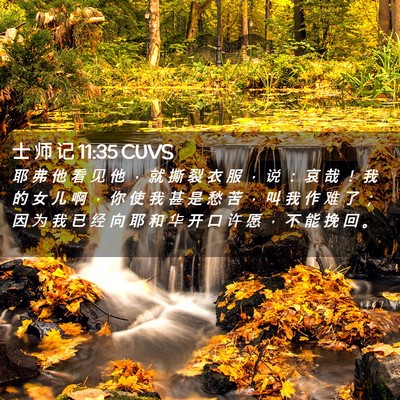 Picture 02 - 士 师 记 11:35 CUVS - 耶 弗 他 看 见 他 ， 就 撕 裂 衣 服 - Bible Verse Picture