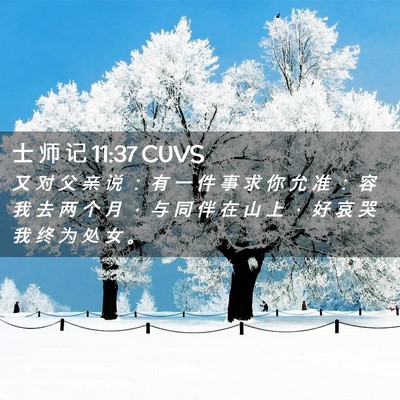 Picture 02 - 士 师 记 11:37 CUVS - 又 对 父 亲 说 ： 有 一 件 事 求 你 - Bible Verse Picture