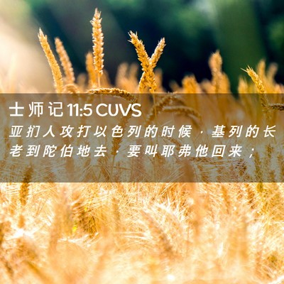Picture 02 - 士 师 记 11:5 CUVS - 亚 扪 人 攻 打 以 色 列 的 时 候 ， - Bible Verse Picture