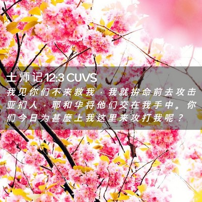 Picture 02 - 士 师 记 12:3 CUVS - 我 见 你 们 不 来 救 我 ， 我 就 拚 - Bible Verse Picture