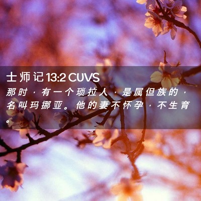Picture 02 - 士 师 记 13:2 CUVS - 那 时 ， 有 一 个 琐 拉 人 ， 是 属 - Bible Verse Picture
