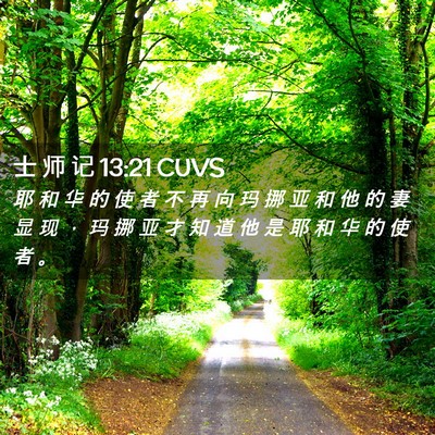 Picture 02 - 士 师 记 13:21 CUVS - 耶 和 华 的 使 者 不 再 向 玛 挪 亚 - Bible Verse Picture