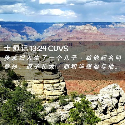 Picture 02 - 士 师 记 13:24 CUVS - 後 来 妇 人 生 了 一 个 儿 子 ， 给 - Bible Verse Picture