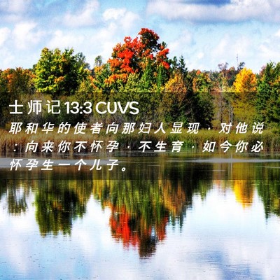 Picture 02 - 士 师 记 13:3 CUVS - 耶 和 华 的 使 者 向 那 妇 人 显 现 - Bible Verse Picture