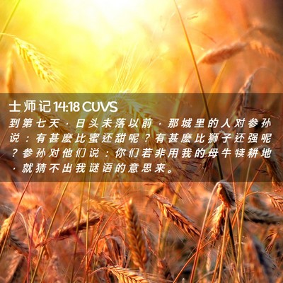 Picture 02 - 士 师 记 14:18 CUVS - 到 第 七 天 ， 日 头 未 落 以 前 ， - Bible Verse Picture