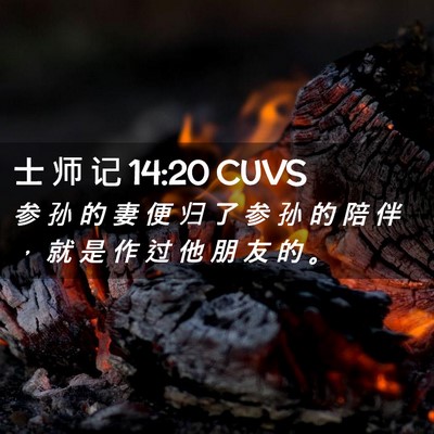 Picture 02 - 士 师 记 14:20 CUVS - 参 孙 的 妻 便 归 了 参 孙 的 陪 伴 - Bible Verse Picture