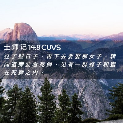 Picture 02 - 士 师 记 14:8 CUVS - 过 了 些 日 子 ， 再 下 去 要 娶 那 - Bible Verse Picture