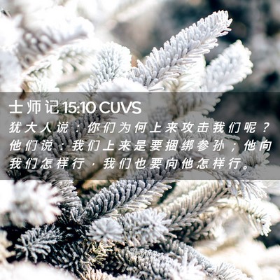 Picture 02 - 士 师 记 15:10 CUVS - 犹 大 人 说 ： 你 们 为 何 上 来 攻 - Bible Verse Picture