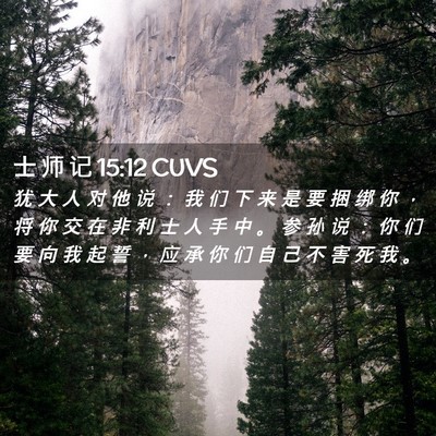 Picture 02 - 士 师 记 15:12 CUVS - 犹 大 人 对 他 说 ： 我 们 下 来 是 - Bible Verse Picture