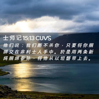 Picture 02 - 士 师 记 15:13 CUVS - 他 们 说 ： 我 们 断 不 杀 你 ， 只 - Bible Verse Picture