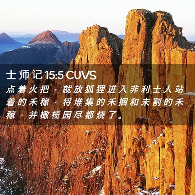 Picture 02 - 士 师 记 15:5 CUVS - 点 着 火 把 ， 就 放 狐 狸 进 入 非 - Bible Verse Picture