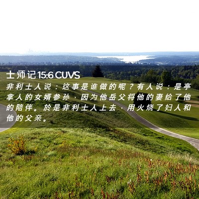 Picture 02 - 士 师 记 15:6 CUVS - 非 利 士 人 说 ： 这 事 是 谁 做 的 - Bible Verse Picture