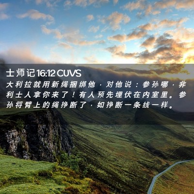 Picture 02 - 士 师 记 16:12 CUVS - 大 利 拉 就 用 新 绳 捆 绑 他 ， 对 - Bible Verse Picture