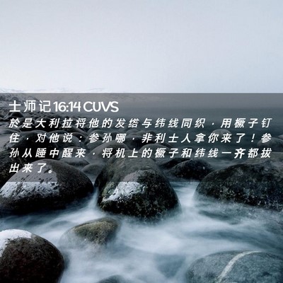 Picture 02 - 士 师 记 16:14 CUVS - 於 是 大 利 拉 将 他 的 发 绺 与 纬 - Bible Verse Picture