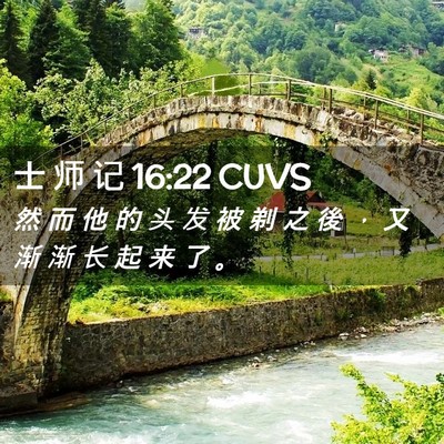Picture 02 - 士 师 记 16:22 CUVS - 然 而 他 的 头 发 被 剃 之 後 ， 又 - Bible Verse Picture