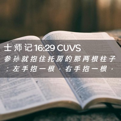 Picture 02 - 士 师 记 16:29 CUVS - 参 孙 就 抱 住 托 房 的 那 两 根 柱 - Bible Verse Picture