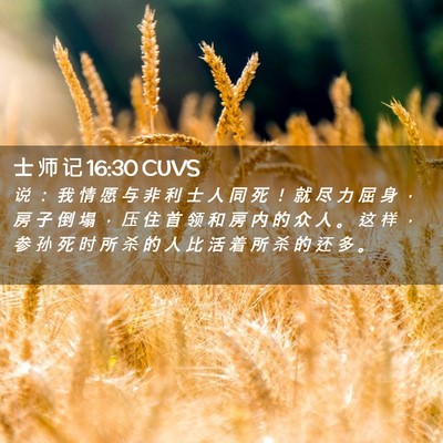 Picture 02 - 士 师 记 16:30 CUVS - 说 ： 我 情 愿 与 非 利 士 人 同 死 - Bible Verse Picture