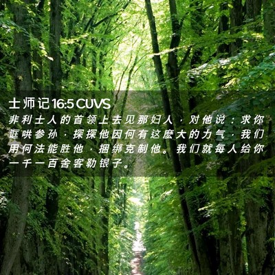 Picture 02 - 士 师 记 16:5 CUVS - 非 利 士 人 的 首 领 上 去 见 那 妇 - Bible Verse Picture