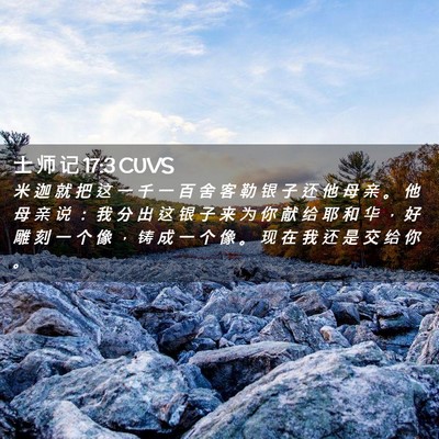 Picture 02 - 士 师 记 17:3 CUVS - 米 迦 就 把 这 一 千 一 百 舍 客 勒 - Bible Verse Picture
