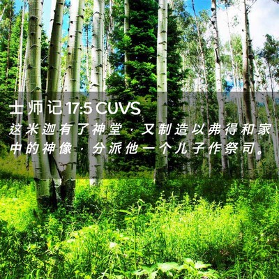 Picture 02 - 士 师 记 17:5 CUVS - 这 米 迦 有 了 神 堂 ， 又 制 造 以 - Bible Verse Picture