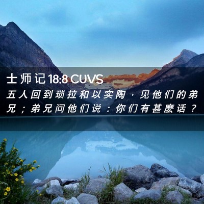 Picture 02 - 士 师 记 18:8 CUVS - 五 人 回 到 琐 拉 和 以 实 陶 ， 见 - Bible Verse Picture