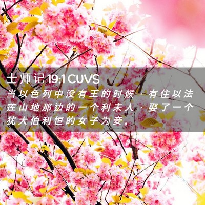 Picture 02 - 士 师 记 19:1 CUVS - 当 以 色 列 中 没 有 王 的 时 候 ， - Bible Verse Picture