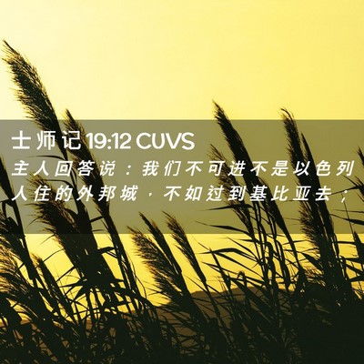 Picture 02 - 士 师 记 19:12 CUVS - 主 人 回 答 说 ： 我 们 不 可 进 不 - Bible Verse Picture