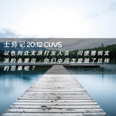 Picture 02 - 士 师 记 20:12 CUVS - 以 色 列 众 支 派 打 发 人 去 ， 问 - Bible Verse Picture