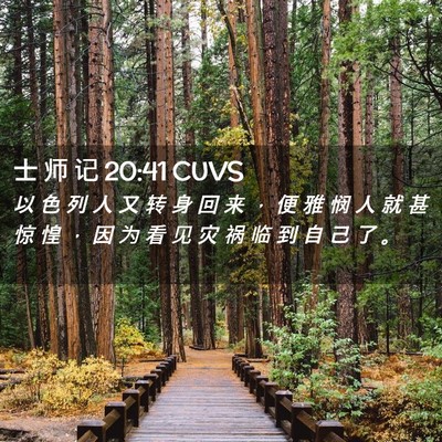 Picture 02 - 士 师 记 20:41 CUVS - 以 色 列 人 又 转 身 回 来 ， 便 雅 - Bible Verse Picture