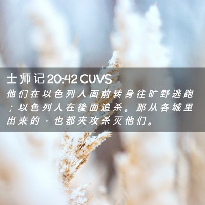 Picture 02 - 士 师 记 20:42 CUVS - 他 们 在 以 色 列 人 面 前 转 身 往 - Bible Verse Picture