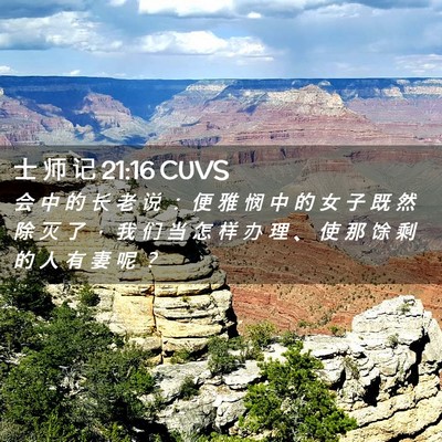 Picture 02 - 士 师 记 21:16 CUVS - 会 中 的 长 老 说 ： 便 雅 悯 中 的 - Bible Verse Picture