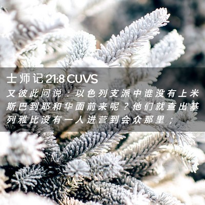 Picture 02 - 士 师 记 21:8 CUVS - 又 彼 此 问 说 ： 以 色 列 支 派 中 - Bible Verse Picture