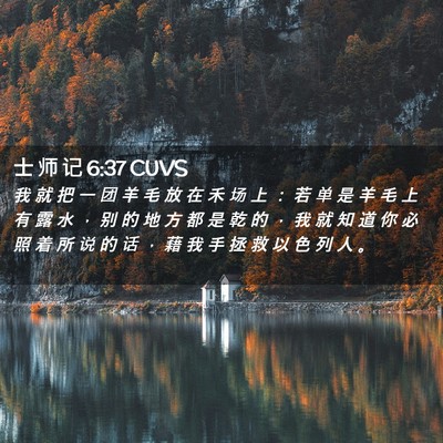Picture 02 - 士 师 记 6:37 CUVS - 我 就 把 一 团 羊 毛 放 在 禾 场 上 - Bible Verse Picture