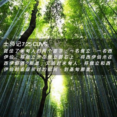 Picture 02 - 士 师 记 7:25 CUVS - 捉 住 了 米 甸 人 的 两 个 首 领 ： - Bible Verse Picture
