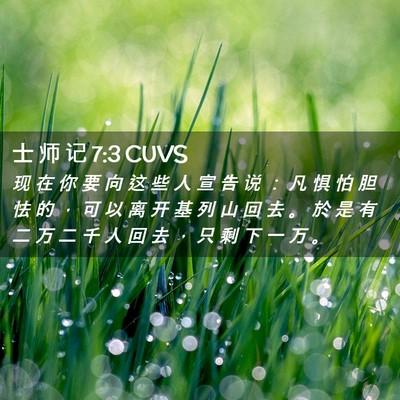 Picture 02 - 士 师 记 7:3 CUVS - 现 在 你 要 向 这 些 人 宣 告 说 ： - Bible Verse Picture