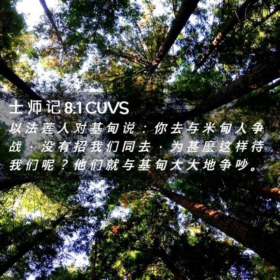 Picture 02 - 士 师 记 8:1 CUVS - 以 法 莲 人 对 基 甸 说 ： 你 去 与 - Bible Verse Picture