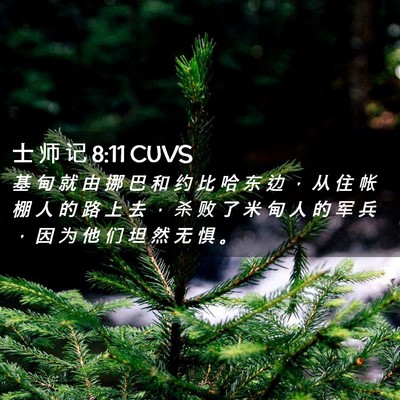 Picture 02 - 士 师 记 8:11 CUVS - 基 甸 就 由 挪 巴 和 约 比 哈 东 边 - Bible Verse Picture