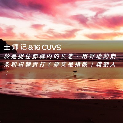 Picture 02 - 士 师 记 8:16 CUVS - 於 是 捉 住 那 城 内 的 长 老 ， 用 - Bible Verse Picture