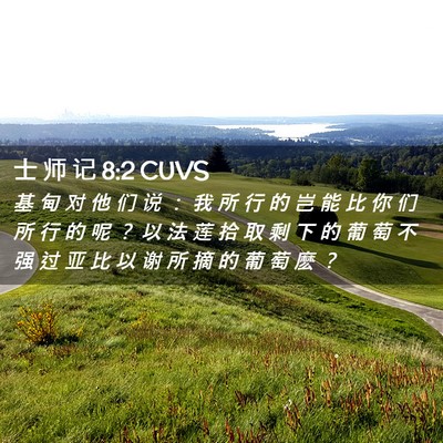 Picture 02 - 士 师 记 8:2 CUVS - 基 甸 对 他 们 说 ： 我 所 行 的 岂 - Bible Verse Picture