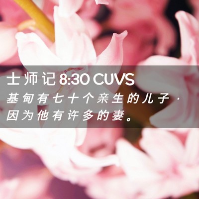 Picture 02 - 士 师 记 8:30 CUVS - 基 甸 有 七 十 个 亲 生 的 儿 子 ， - Bible Verse Picture