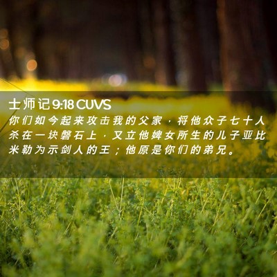 Picture 02 - 士 师 记 9:18 CUVS - 你 们 如 今 起 来 攻 击 我 的 父 家 - Bible Verse Picture