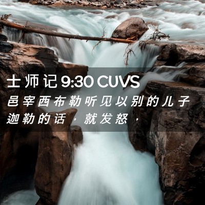 Picture 02 - 士 师 记 9:30 CUVS - 邑 宰 西 布 勒 听 见 以 别 的 儿 子 - Bible Verse Picture