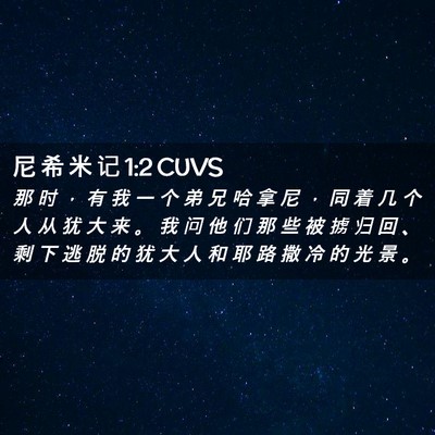 Picture 02 - 尼 希 米 记 1:2 CUVS - 那 时 ， 有 我 一 个 弟 兄 哈 拿 尼 - Bible Verse Picture