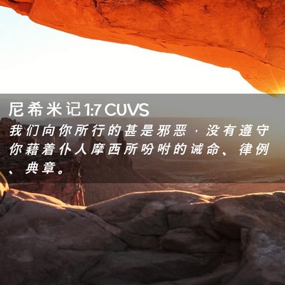Picture 02 - 尼 希 米 记 1:7 CUVS - 我 们 向 你 所 行 的 甚 是 邪 恶 ， - Bible Verse Picture