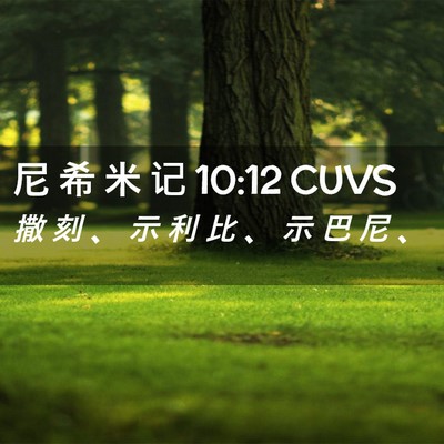 Picture 02 - 尼 希 米 记 10:12 CUVS - 撒 刻 、 示 利 比 、 示 巴 尼 - Bible Verse Picture
