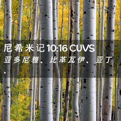 Picture 02 - 尼 希 米 记 10:16 CUVS - 亚 多 尼 雅 、 比 革 瓦 伊 、 亚 丁 - Bible Verse Picture