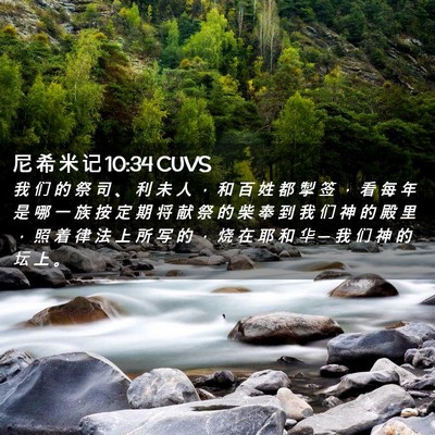 Picture 02 - 尼 希 米 记 10:34 CUVS - 我 们 的 祭 司 、 利 未 人 ， 和 百 - Bible Verse Picture